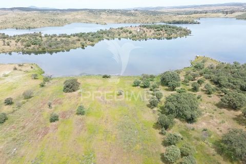 Terra a Alandroal, Evora, Alandroal - € 40.000 | Ref: 060154 - foto 14
