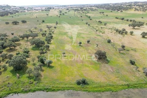 Terra a Alandroal, Evora, Alandroal - € 40.000 | Ref: 060154 - foto 16