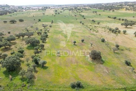 Terra a Alandroal, Evora, Alandroal - € 40.000 | Ref: 060154 - foto 17