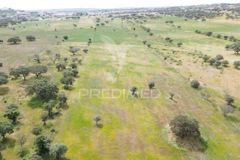 Terra a Alandroal, Evora, Alandroal - € 40.000 | Ref: 060154 - foto 18