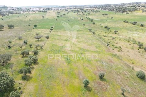 Terra a Alandroal, Evora, Alandroal - € 40.000 | Ref: 060154 - foto 19