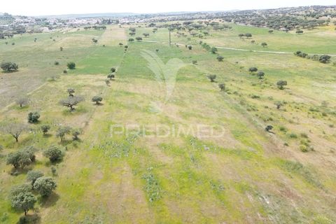 Terra a Alandroal, Evora, Alandroal - € 40.000 | Ref: 060154 - foto 20