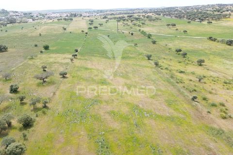 Terra a Alandroal, Evora, Alandroal - € 40.000 | Ref: 060154 - foto 21