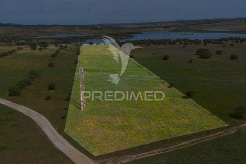 Terra a Alandroal, Evora, Alandroal - € 40.000 | Ref: 060154 - foto 22
