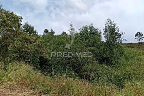 Helårsgrund i Valongo, Porto, Valongo - € 175.000 | Ref: 060291 - foto 10