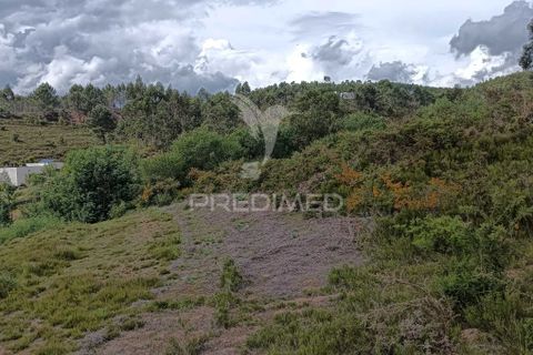 Helårsgrund i Valongo, Porto, Valongo - € 175.000 | Ref: 060291 - foto 13