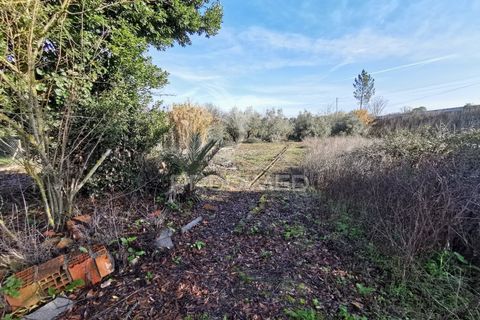 Byhus i Torres Novas, Santarem, Torres Novas - € 60.000 | Ref: 060407 - foto 4