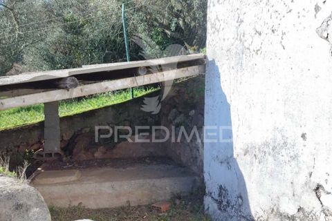 Byhus i Castelo de Vide, Portalegre, Castelo de Vide - € 75.000 | Ref: 059501 - foto 13