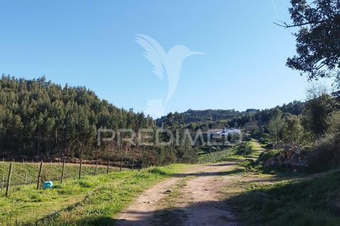 Farm hus i Castelo de Vide, Portalegre, Castelo de Vide - € 1.295.000 | Ref: 059504 - foto 1