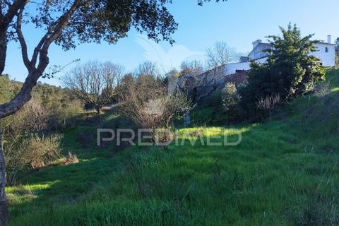 Farm hus i Castelo de Vide, Portalegre, Castelo de Vide - € 1.295.000 | Ref: 059504 - foto 7