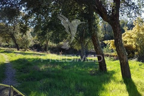 Farm hus i Castelo de Vide, Portalegre, Castelo de Vide - € 1.295.000 | Ref: 059504 - foto 9