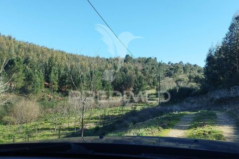 Farm hus i Castelo de Vide, Portalegre, Castelo de Vide - € 1.295.000 | Ref: 059504 - foto 16
