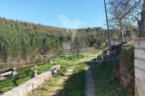 Farm hus i Castelo de Vide, Portalegre, Castelo de Vide - € 1.295.000 | Ref: 059504 - foto 18