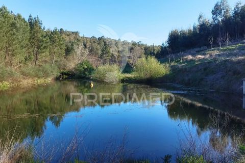 Farm hus i Castelo de Vide, Portalegre, Castelo de Vide - € 1.295.000 | Ref: 059504 - foto 19