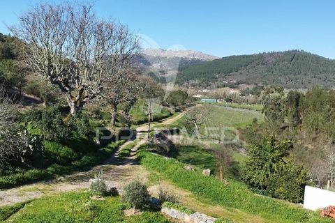Farm hus i Castelo de Vide, Portalegre, Castelo de Vide - € 1.295.000 | Ref: 059504 - foto 22
