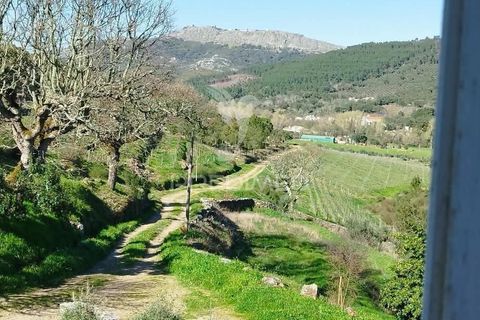 Farm hus i Castelo de Vide, Portalegre, Castelo de Vide - € 1.295.000 | Ref: 059504 - foto 23