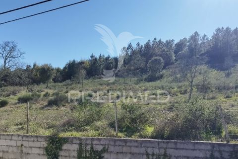 Farm hus i Castelo de Vide, Portalegre, Castelo de Vide - € 1.295.000 | Ref: 059504 - foto 28