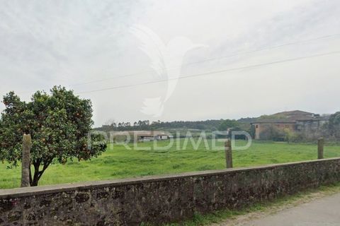 Masia a Trofa, Porto, Trofa - € 260.000 | Ref: 059970 - foto 7