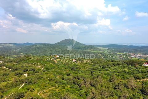 Byhus i Setubal, Setubal, Setubal - € 550.000 | Ref: 060277 - foto 14