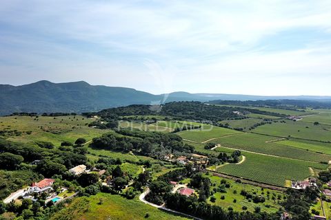 Byhus i Setubal, Setubal, Setubal - € 550.000 | Ref: 060277 - foto 17