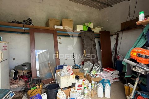 Terra a Alpiarca, Santarem, Alpiarca - € 48.000 | Ref: 060320 - foto 19