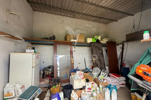 Terra a Alpiarca, Santarem, Alpiarca - € 48.000 | Ref: 060320 - foto 20