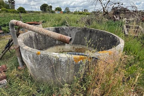 Terra a Alpiarca, Santarem, Alpiarca - € 48.000 | Ref: 060320 - foto 24
