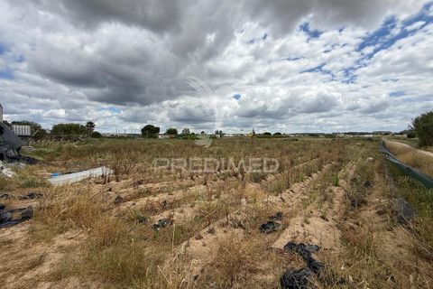 Terra a Alpiarca, Santarem, Alpiarca - € 48.000 | Ref: 060320 - foto 26