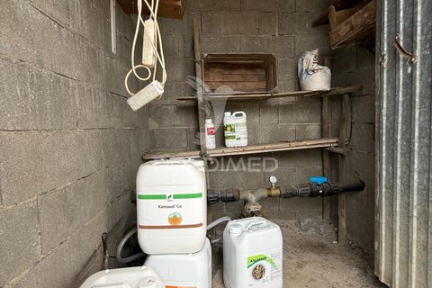 Terra a Alpiarca, Santarem, Alpiarca - € 48.000 | Ref: 060320 - foto 27