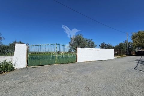 Terra a Castro Verde, Beja, Castro Verde - € 150.000 | Ref: 060423 - foto 3