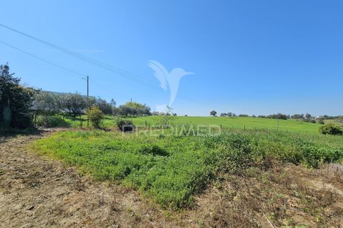 Terra a Castro Verde, Beja, Castro Verde - € 150.000 | Ref: 060423 - foto 4