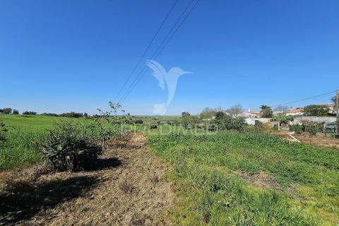 Terra a Castro Verde, Beja, Castro Verde - € 150.000 | Ref: 060423 - foto 5