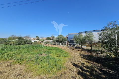 Terra a Castro Verde, Beja, Castro Verde - € 150.000 | Ref: 060423 - foto 6