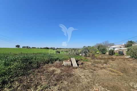 Terra a Castro Verde, Beja, Castro Verde - € 150.000 | Ref: 060423 - foto 8