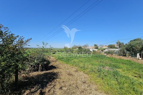 Terra a Castro Verde, Beja, Castro Verde - € 150.000 | Ref: 060423 - foto 10