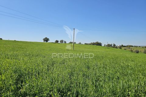 Terra a Castro Verde, Beja, Castro Verde - € 150.000 | Ref: 060423 - foto 11