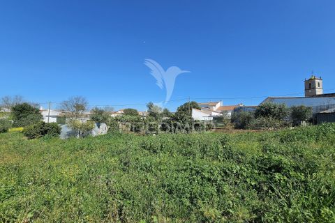 Terra a Castro Verde, Beja, Castro Verde - € 150.000 | Ref: 060423 - foto 14