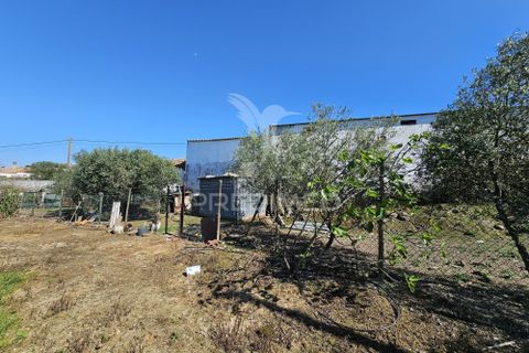 Terra a Castro Verde, Beja, Castro Verde - € 150.000 | Ref: 060423 - foto 17