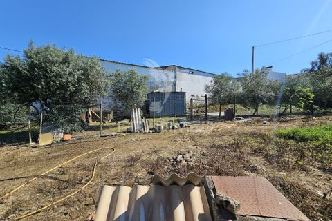 Terra a Castro Verde, Beja, Castro Verde - € 150.000 | Ref: 060423 - foto 18