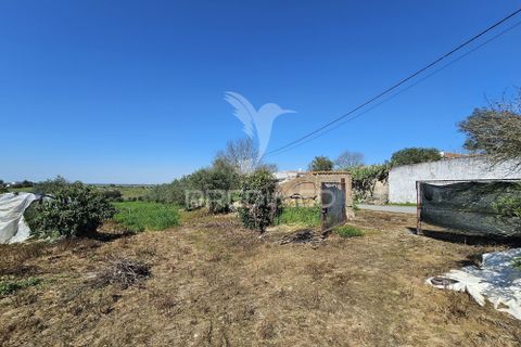 Terra a Castro Verde, Beja, Castro Verde - € 150.000 | Ref: 060423 - foto 19