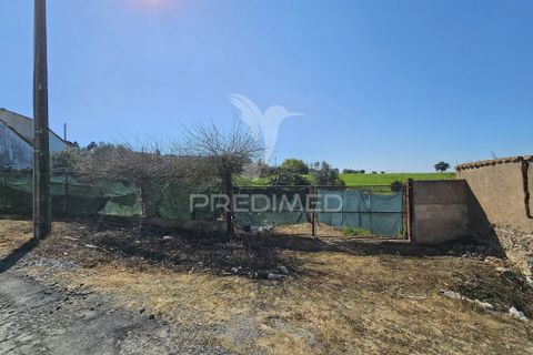 Terra a Castro Verde, Beja, Castro Verde - € 150.000 | Ref: 060423 - foto 20