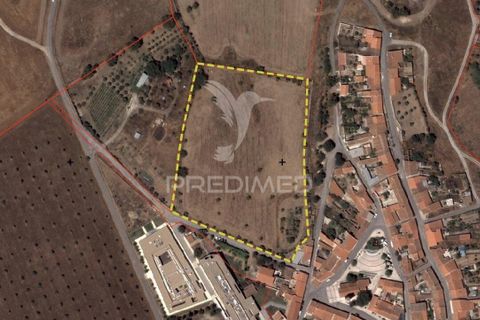 Terra a Castro Verde, Beja, Castro Verde - € 150.000 | Ref: 060423 - foto 21