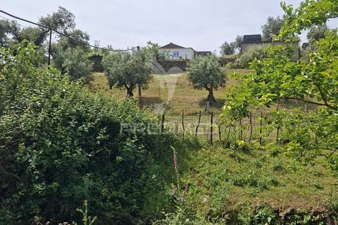Landejendom i Vila Vicosa, Evora, Vila Vicosa - € 240.000 | Ref: 060449 - foto 23