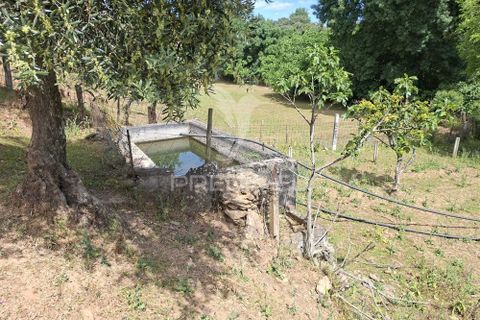 Landejendom i Vila Vicosa, Evora, Vila Vicosa - € 240.000 | Ref: 060449 - foto 28
