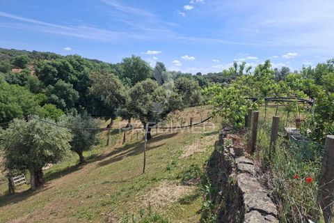 Landejendom i Vila Vicosa, Evora, Vila Vicosa - € 240.000 | Ref: 060449 - foto 29