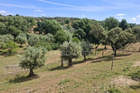 Landejendom i Vila Vicosa, Evora, Vila Vicosa - € 240.000 | Ref: 060449 - foto 30