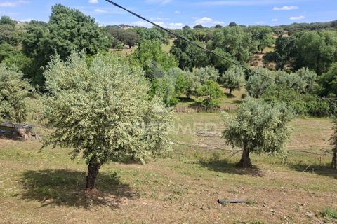 Landejendom i Vila Vicosa, Evora, Vila Vicosa - € 240.000 | Ref: 060449 - foto 31