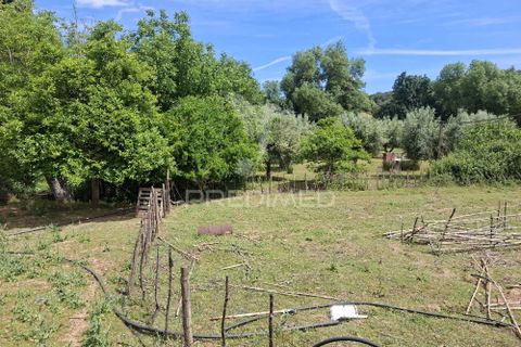 Landejendom i Vila Vicosa, Evora, Vila Vicosa - € 240.000 | Ref: 060449 - foto 35