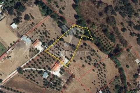 Landejendom i Vila Vicosa, Evora, Vila Vicosa - € 240.000 | Ref: 060449 - foto 36