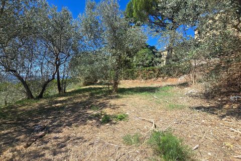 Villa i Montecchio, Terni, Montecchio - € 135.000 | Ref: MON36 - foto 26